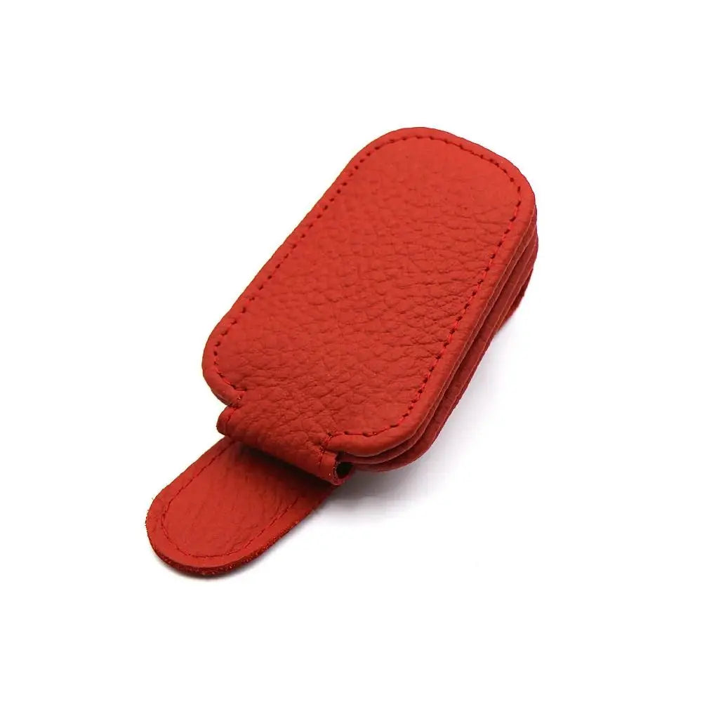 Premium Sunglasses Clip
